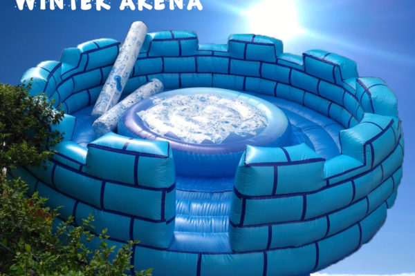 winter arena igloo