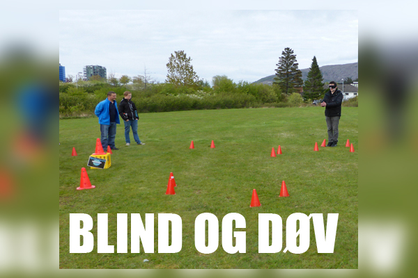 blind-og-dv-web