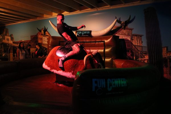 IMG_2953 IMG_2953
